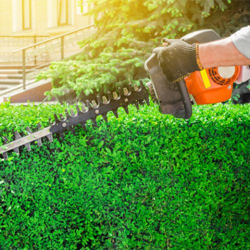 Nożyce do żywopłotów